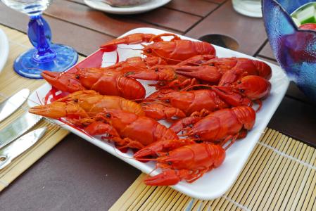 癌症食品, 螃蟹, 吃, 红色, 吃螃蟹, 夏季法院, 起动器
