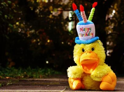 生日, 祝贺, 鸭, 贺卡, 快乐, 运气, 快乐