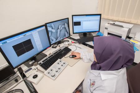 扫描电子显微镜, 马来西亚马来西亚沙巴, 生物技术研究所
