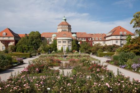 植物园, 慕尼黑, 花园, 公园, 植物, 花, 园艺