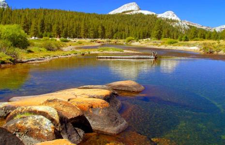 约塞米蒂, 山脉, 优胜美地国家公园, 加利福尼亚州, 湖, 的坦克, 森林
