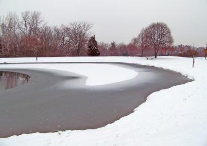 冻结, 池塘, 冬天, 冰, 雪, 树木