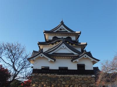 城堡, 日本, 彦根, 建筑, 日本文化, 建筑, 历史