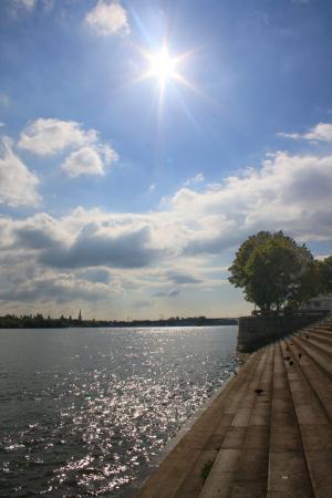 莱茵河, 莱茵河, 美因茨, 德国, 自然, 阳光, 水域