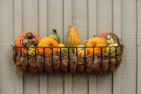 葫芦, 南瓜, 壁球, 秋季小品, 秋季蔬菜, 万圣节, 橙色