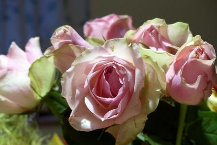 花束, 玫瑰, 昏暗的粉红色, 颜色, 浪漫, 粉色, 浪漫