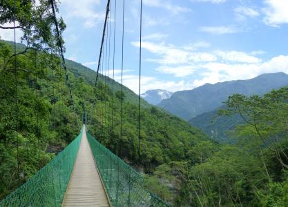 悬索桥, 台湾, 丛林, 山脉