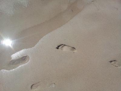 沙子, 的速率, 足迹, 海, 脚的形状, 波罗地海, 湿砂