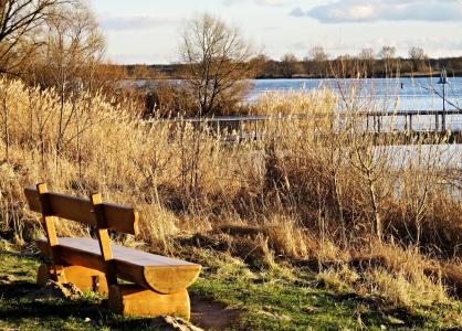 自然, 易北河, 河, 河道景观, 自然, 相同的线索, 板凳