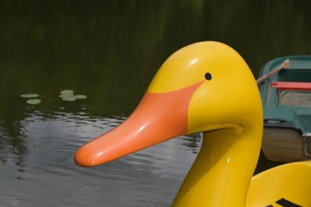 鸭, 池塘, 脚踏船, 水, 黄色, 源语言, 有趣
