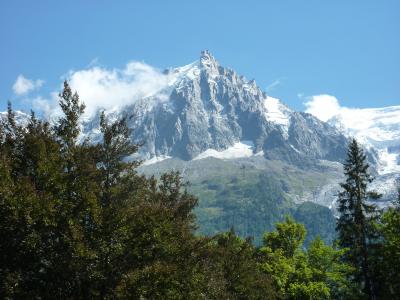 阿尔卑斯山, 山, 首脑会议