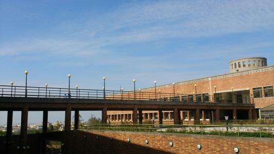 普罗维登斯大学, 台中, 偶像, 阳光灿烂的日子, 桥梁