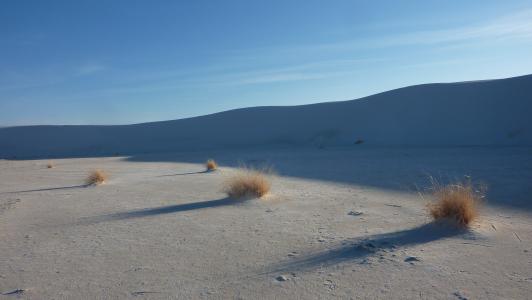 沙漠, 沙子, 沙丘, 沙丘, 干, 热, 热