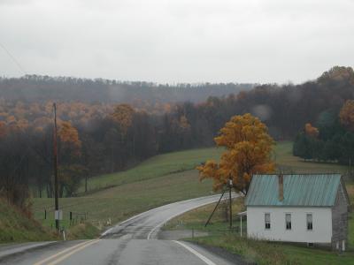 乡间小路, 秋天, 森林, 秋天, 自然, 道路, 树