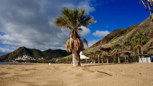 特内里费岛, 加那利群岛, 假日, 蓝蓝的天空, 海滩, 海, 棕榈树