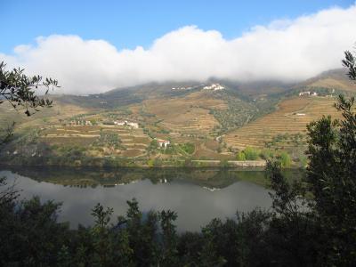 葡萄牙, 山谷, 河, 杜罗河, 自然, 景观, 山