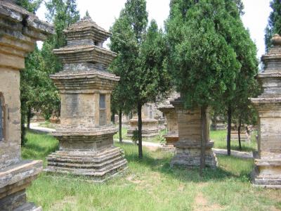 公墓, 林, 中国