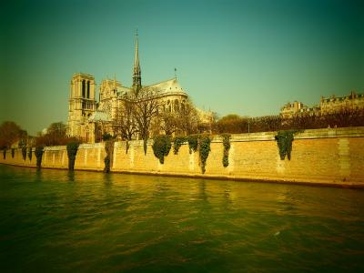 巴黎圣母院, 大教堂, 其, 河, 巴黎, dom, 明斯特