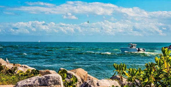佛罗里达州迈阿密海岸全高清壁纸和背景图像