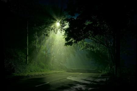 路灯照亮黑暗森林道路全高清壁纸和背景图像