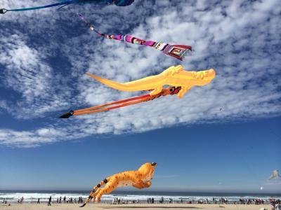 在天空中的动物风筝在海滩全高清壁纸和背景图像