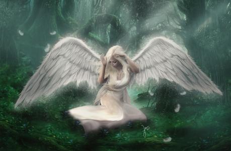 白色天使在森林全高清壁纸和背景图像