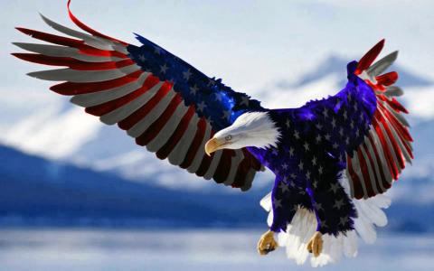 美国国旗充分的HD墙纸和背景的颜色的秃头鹰