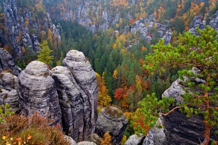 易北河砂岩山脉和森林在萨克森州,德国4k超高清壁纸和背景