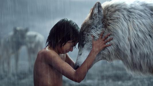 Mowgli和狼在“丛林书”电影全高清壁纸和背景图片