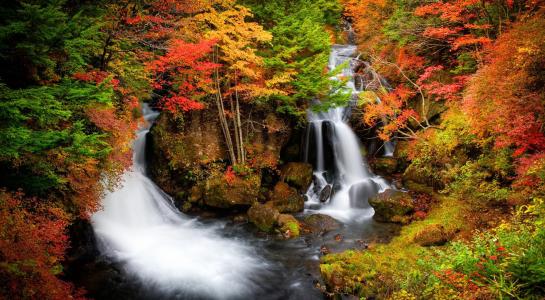 瀑布在秋季森林全高清壁纸和背景图像
