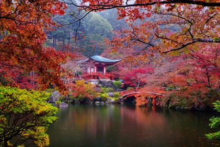 秋季日本花园5k视网膜超高清壁纸和背景