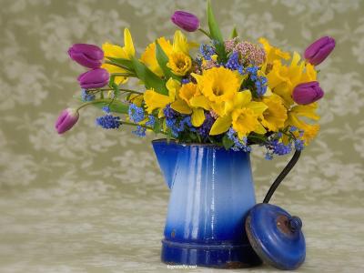 春天的花朵,在蓝色的锅壁纸和背景图像