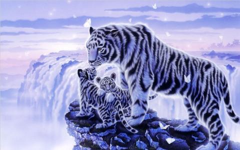 白色的老虎和她的小熊全高清壁纸和背景图片