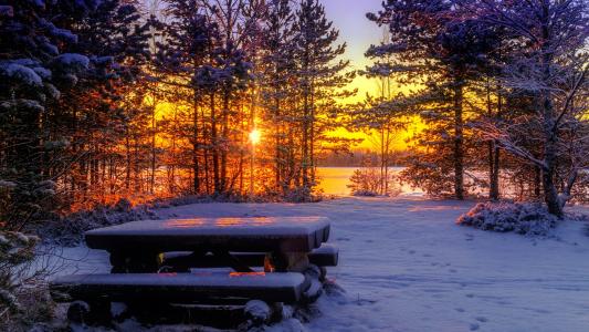 日落在冬季公园全高清壁纸和背景