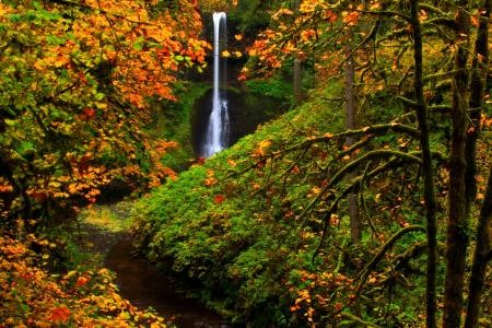 俄勒冈州银瀑布州立公园在秋季全高清壁纸和背景图像
