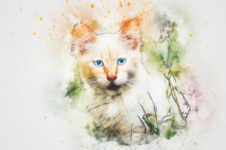 水彩艺术猫与蓝色的眼睛全高清壁纸和背景