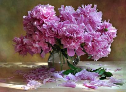 花瓶中的粉色牡丹全高清壁纸和背景图片