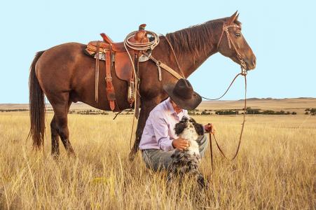 一个牛仔和他的马在牧场全高清壁纸和背景图像