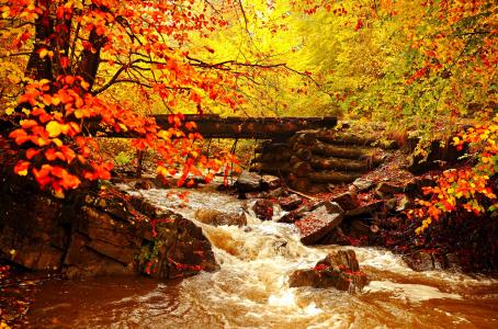 天然桥和流在秋季森林5k视网膜超高清壁纸和背景图像
