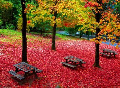 在秋天公园全高清壁纸和背景的野餐桌