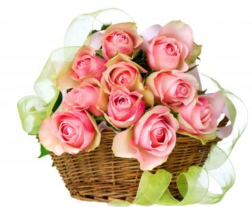 粉红玫瑰在柳条篮子5k视网膜超高清壁纸和背景图像
