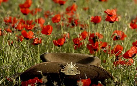 在鸦片墙纸和背景图象的领域的澳大利亚军队帽子