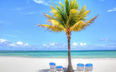 在热带海滩墙纸和背景图象的椅子