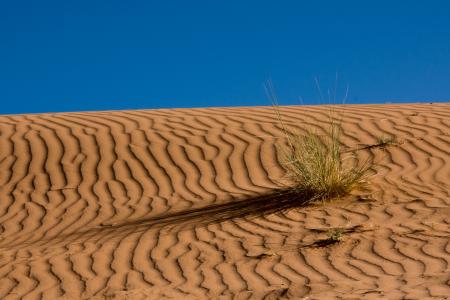 沙丘 - 阿尔及利亚4k超高清壁纸和背景