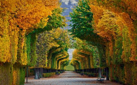 美泉宫花园在维也纳,奥地利全高清壁纸和背景图像