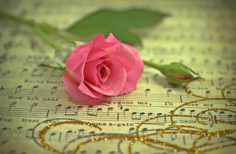 乐谱全高清壁纸和背景上的玫瑰