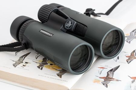 双筒望远镜,适合鸟类观看5k Retina超高清壁纸和背景图像