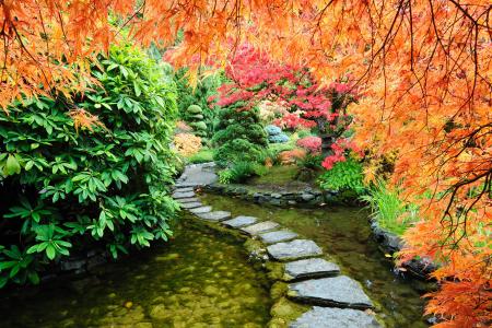 日本花园4k超高清壁纸和背景图片