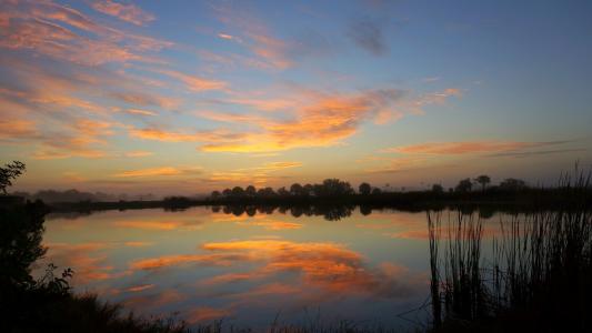 在大柏树国家保留区,佛罗里达州美国全高清壁纸和背景的日出