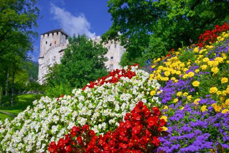 春天在奥地利蒂罗尔州4k超高清壁纸和背景图像